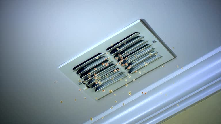 Best Best Air Duct Cleaning Company  in Warsaw, NC