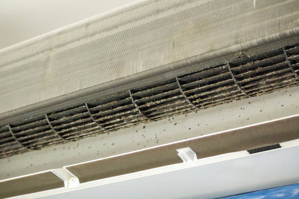 Best Local Air Duct Cleaning Services  in Warsaw, NC